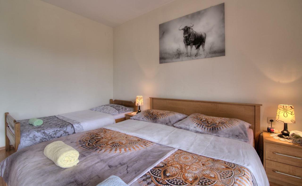 Apartment Marijanka セニ エクステリア 写真